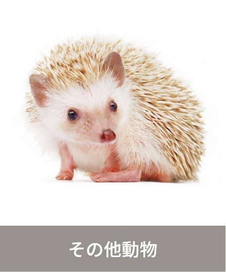 その他動物