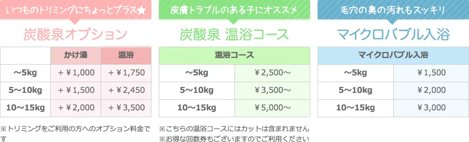 炭酸泉 料金表(税別)